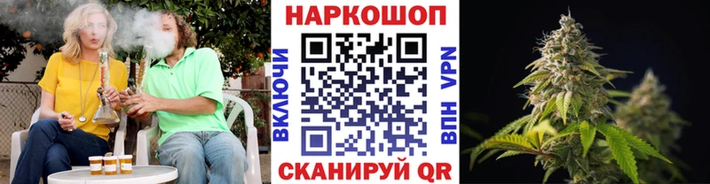 Галлюциногенные грибы Закаменск