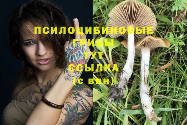 индика Верея
