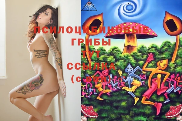таблы Верхний Тагил