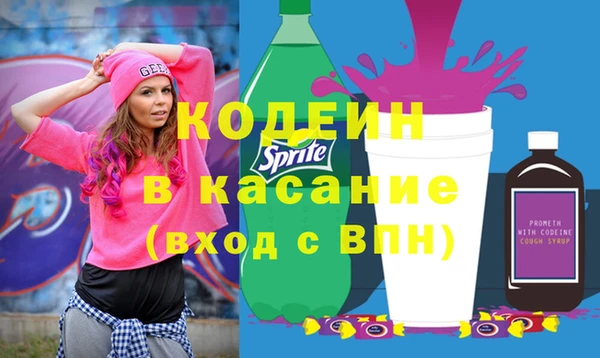 индика Верея