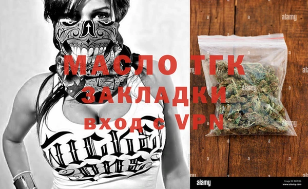 индика Верея