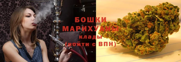 шишки Рославль