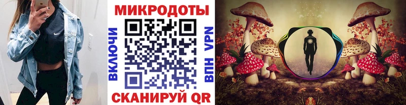 Галлюциногенные грибы Psilocybe Закаменск